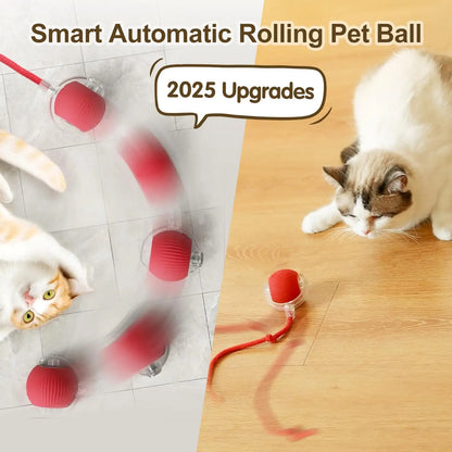 Buddypet Automatic Rolling Ball with Tail