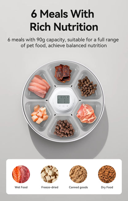 6 Meals Smart Cat Feeder