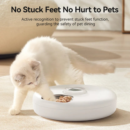 6 Meals Smart Cat Feeder