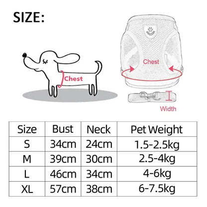 Cat's Leash / Body Harness