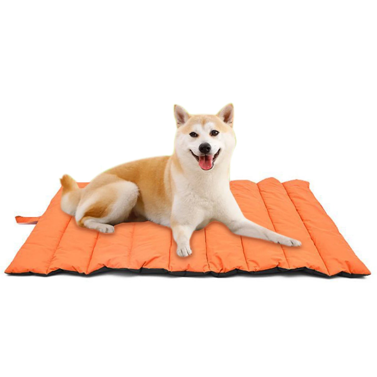 Outdoor Mat for Cat and Dog