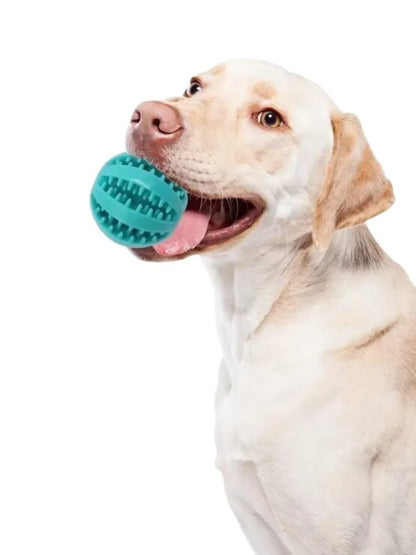 Buddypet Dog Toy Ball Rubber Balls Puppy Chewing Toy