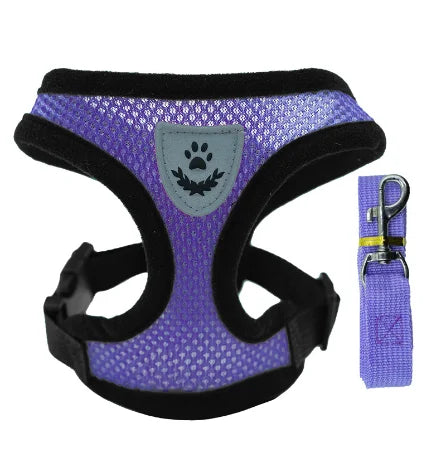 Cat's Leash / Body Harness