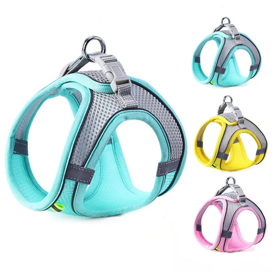 Buddypet Cat Dog Harness Vest Chest Rope Set