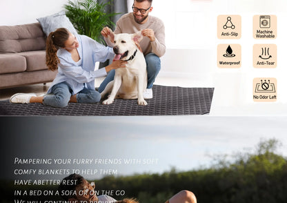 Buddypet Anti Leaking & Non-Slip Dog Bed