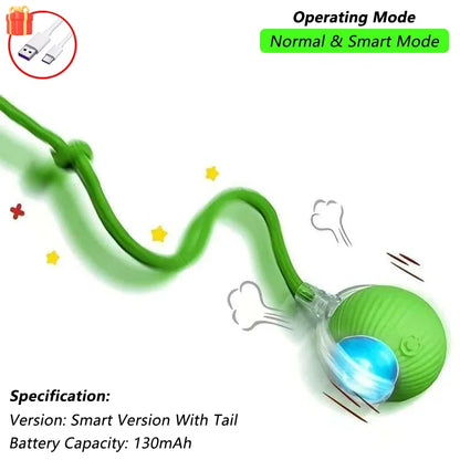 Buddypet Automatic Rolling Ball with Tail