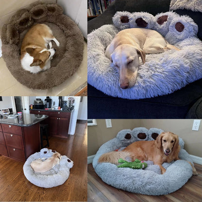 Queen Pet's Bed Queen Style