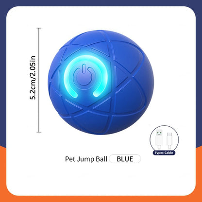 Buddypet Smart Dog Toy Ball Electronic
