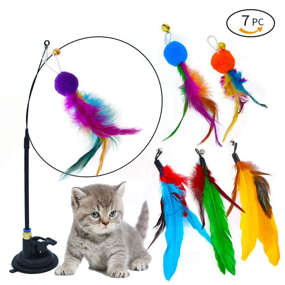 Buddypet Feather & Teasers Cat toy