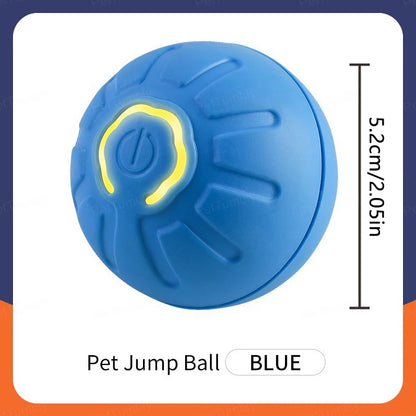 Buddypet Smart Dog Toy Ball Electronic