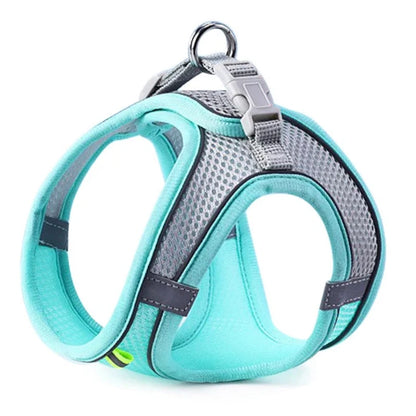 Buddypet Cat Dog Harness Vest Chest Rope Set