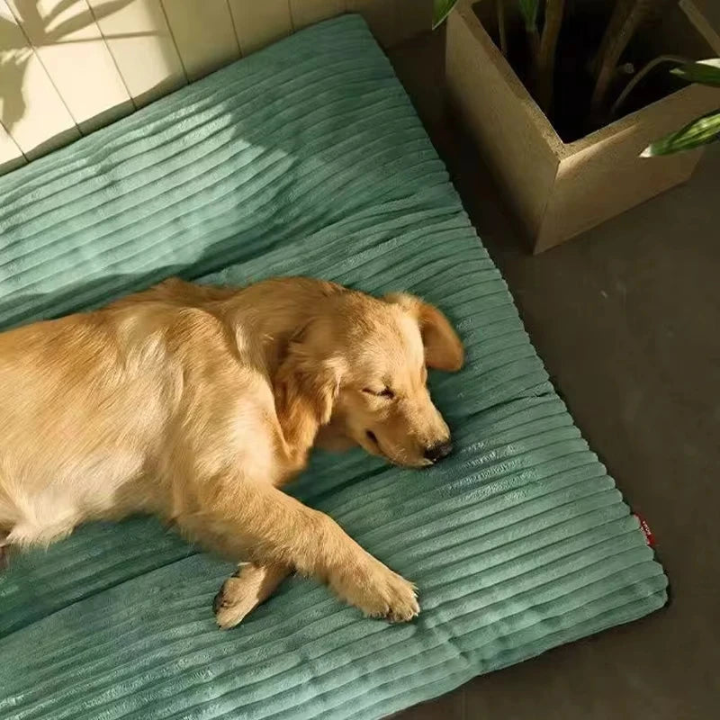 Buddypet Winter Warm Bed / Mat