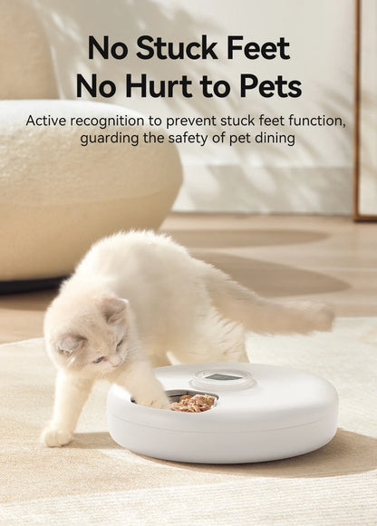 6 Meals Smart Cat Feeder