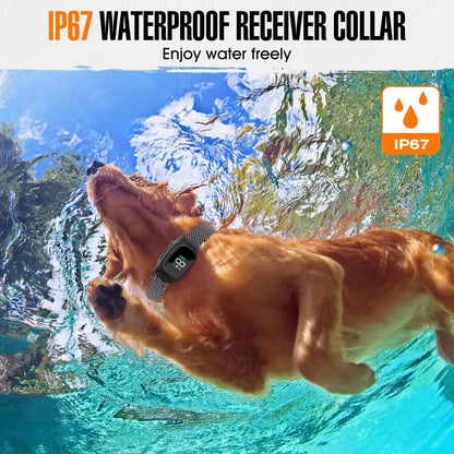 Training Gear / Anti Barking Device For Dog