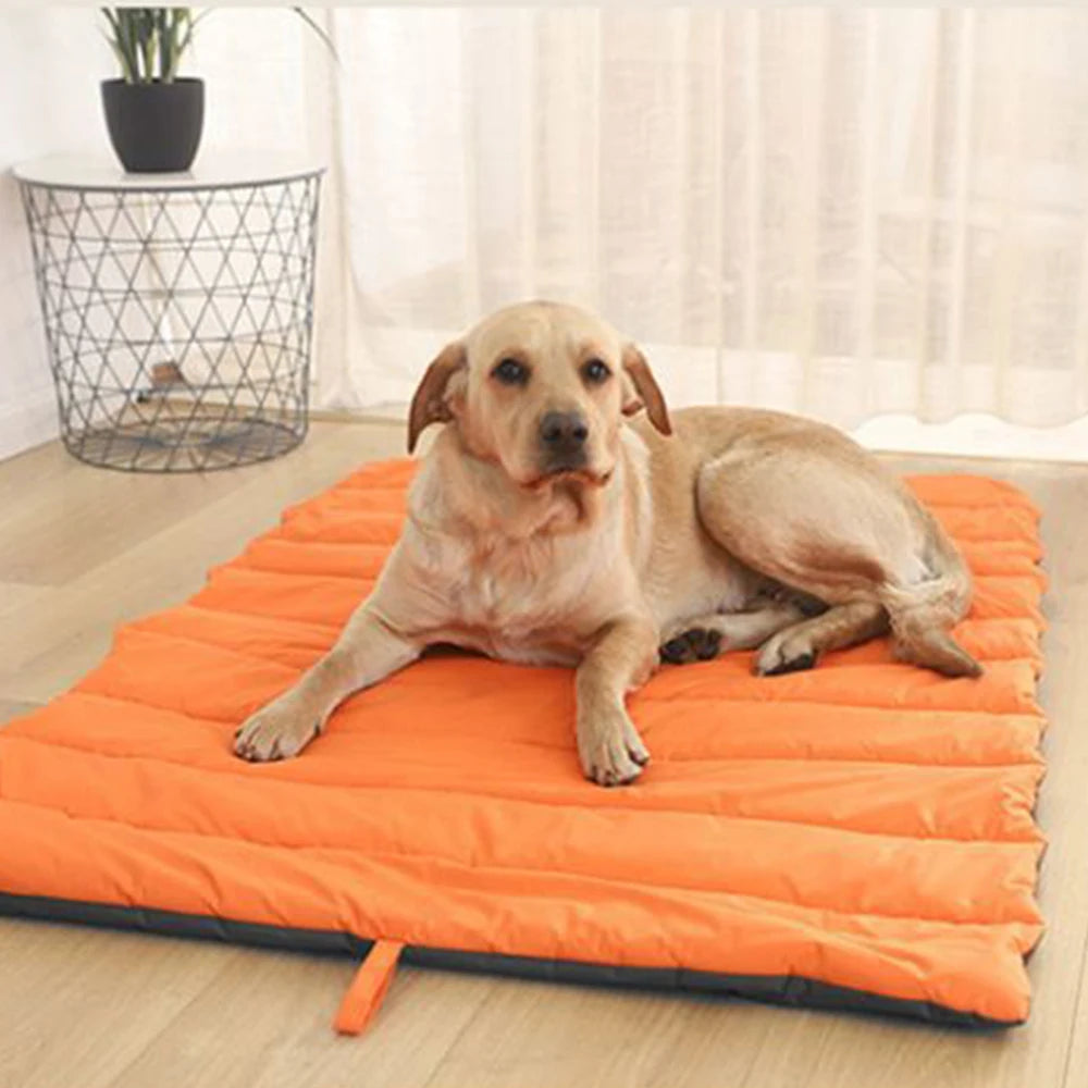 Outdoor Mat for Cat and Dog