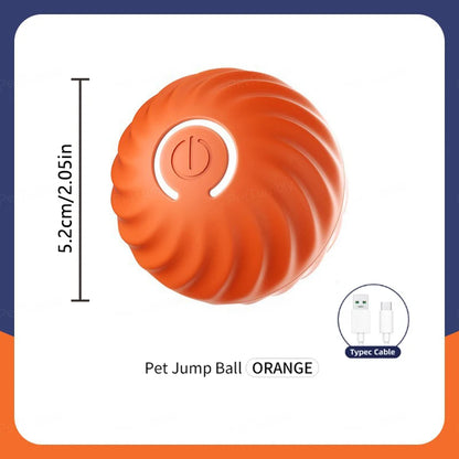 Buddypet Smart Dog Toy Ball Electronic