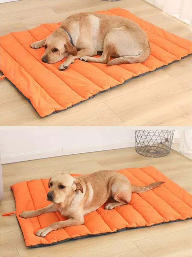 Buddypet Portable Pet Mat for Cat and Dog