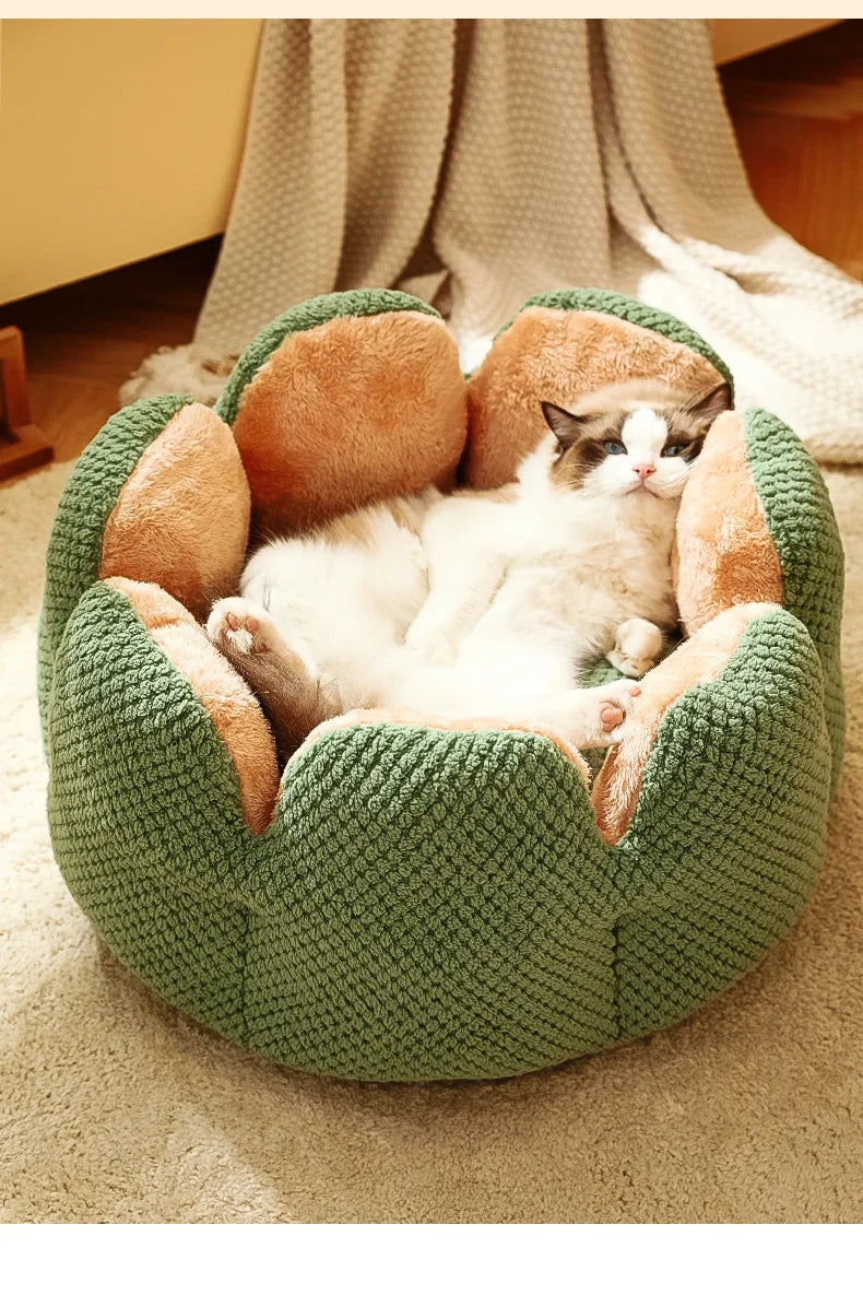 BuddyPet House Winter Warm and Comfortable Cat Bed New Cartoon Cactus