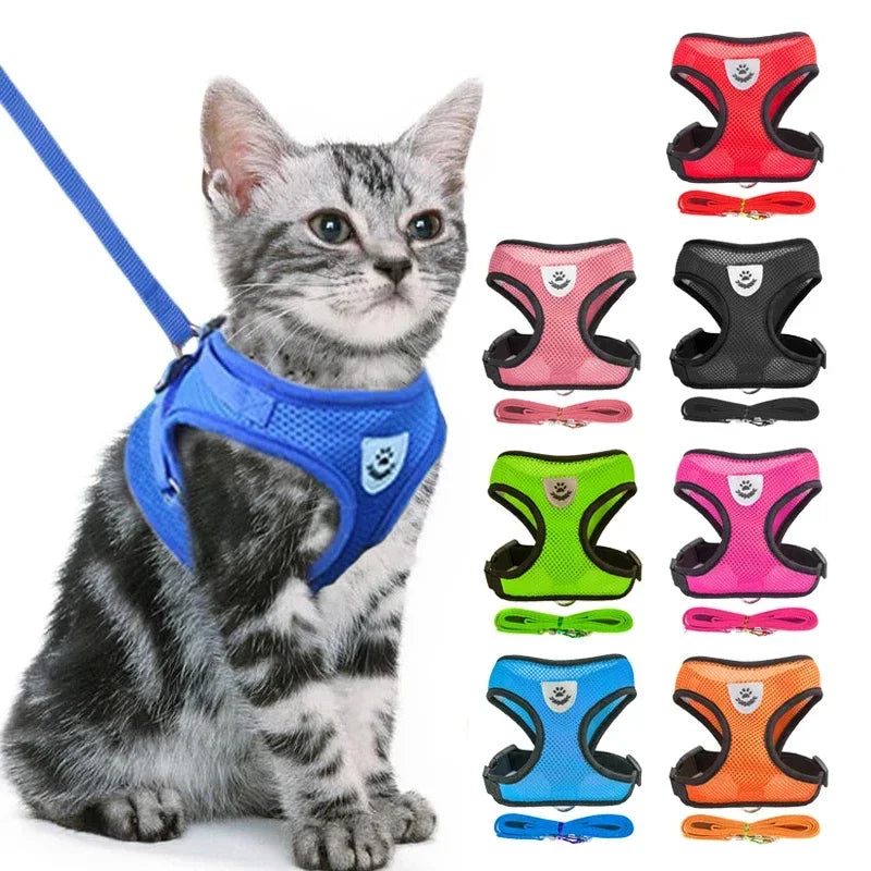 Cat's Leash / Body Harness