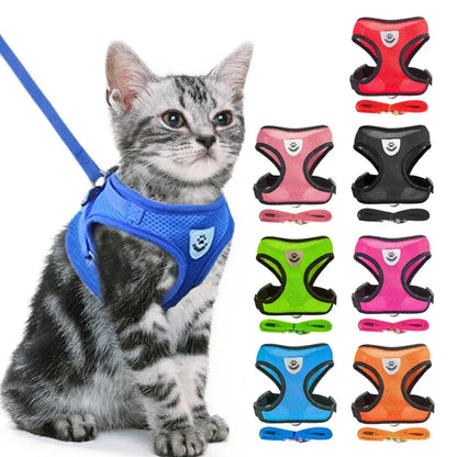 Cat's Leash / Body Harness