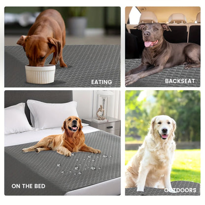 Buddypet Anti Leaking & Non-Slip Dog Bed