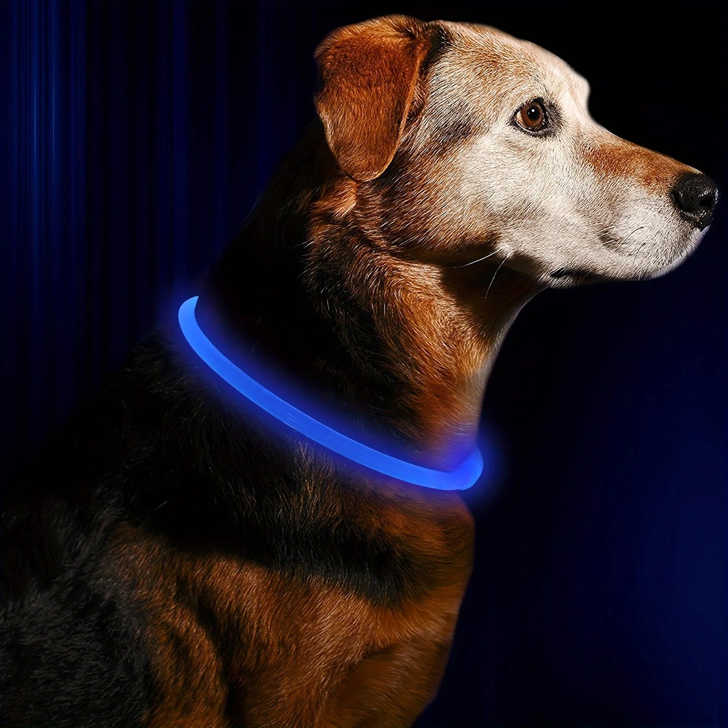 #Pet Dog LED Light Collar Luminous Anti-Lost Dog Collar USB Rechargeable Dog Necklace Collar