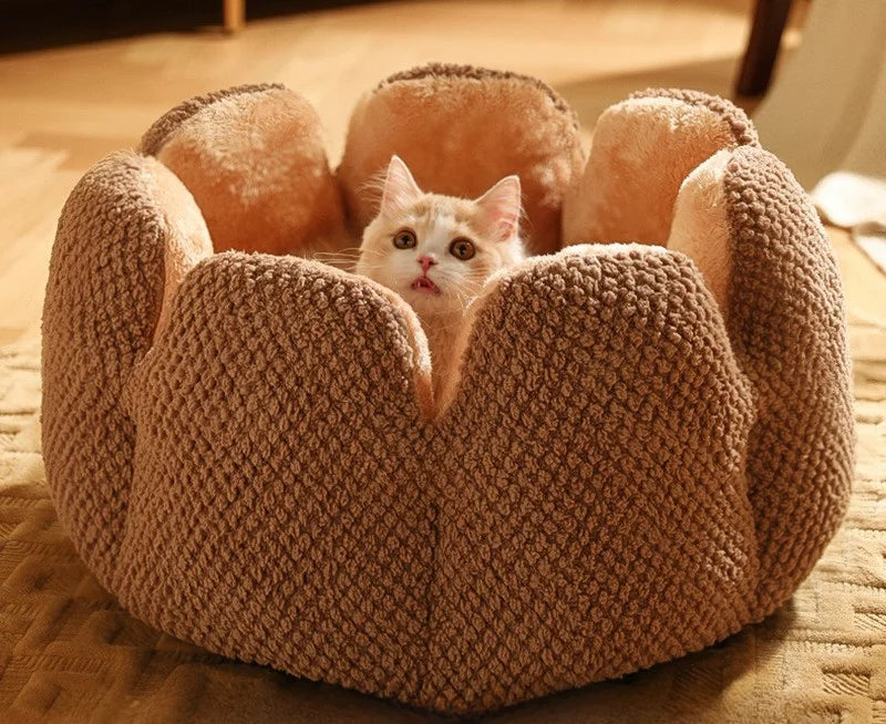 BuddyPet House Winter Warm and Comfortable Cat Bed New Cartoon Cactus