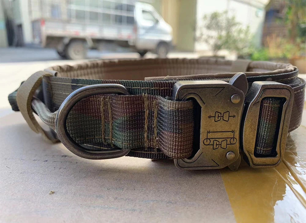 Training, Choke & Pinch Collars