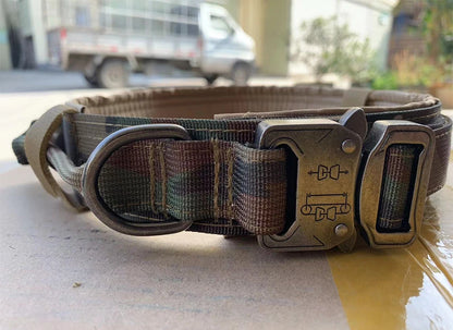 Training, Choke & Pinch Collars