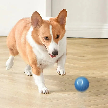 Buddypet Smart Dog Toy Ball Electronic