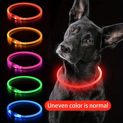 #Pet Dog LED Light Collar Luminous Anti-Lost Dog Collar USB Rechargeable Dog Necklace Collar