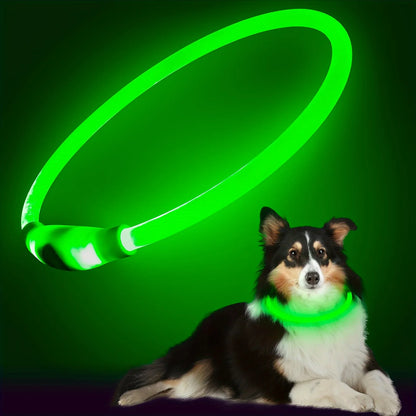 #Pet Dog LED Light Collar Luminous Anti-Lost Dog Collar USB Rechargeable Dog Necklace Collar
