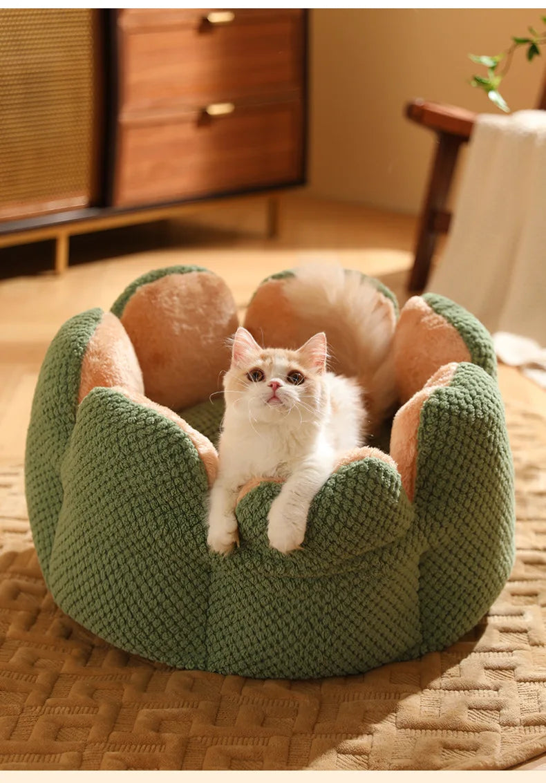 BuddyPet House Winter Warm and Comfortable Cat Bed New Cartoon Cactus