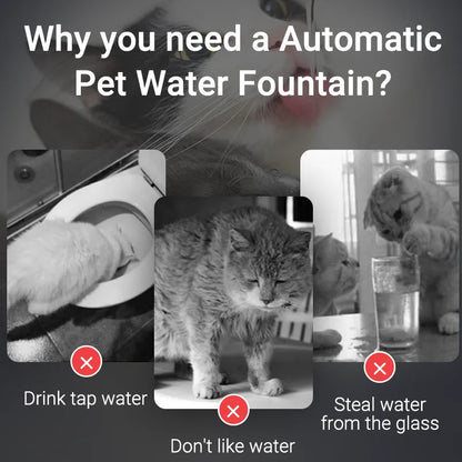Smart Pet Water Fountain
