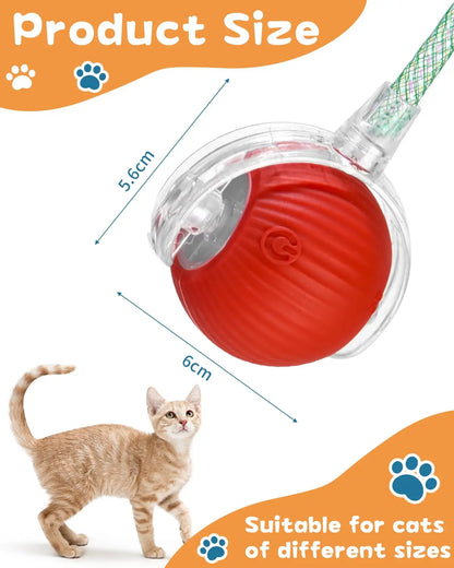 Buddypet Automatic Rolling Ball with Tail
