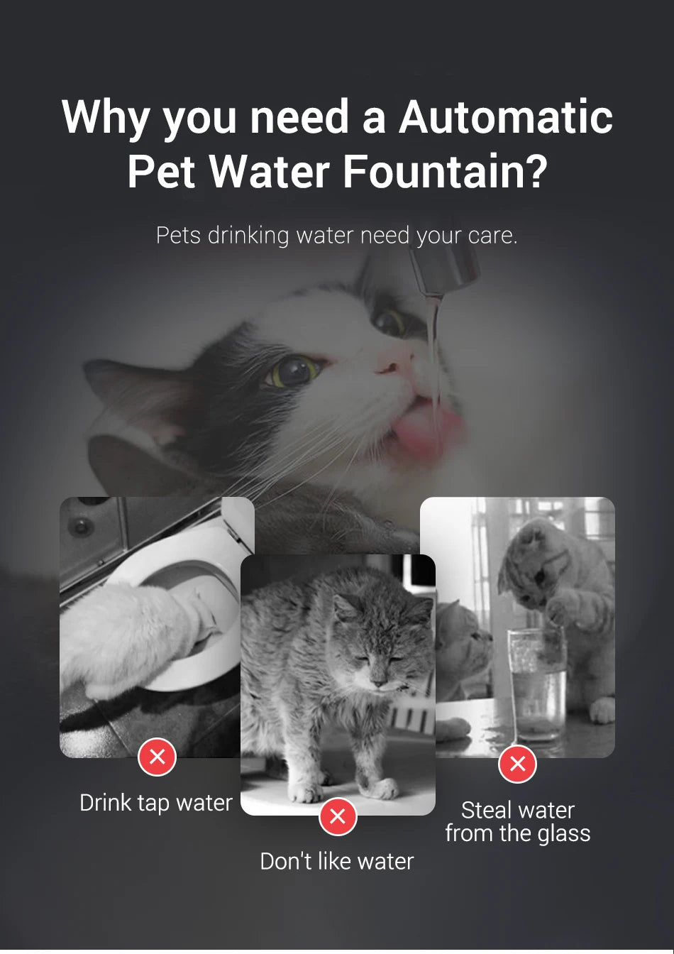 Smart Pet Water Fountain
