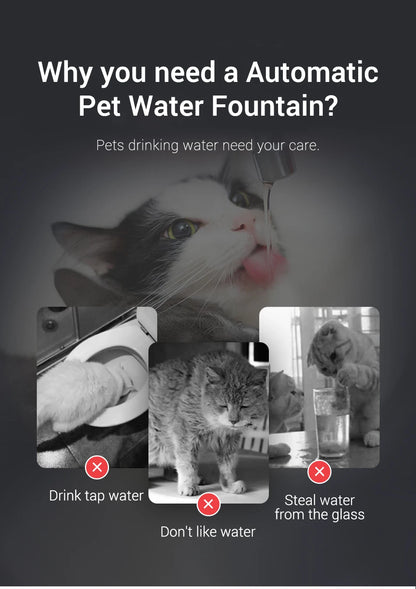 Smart Pet Water Fountain