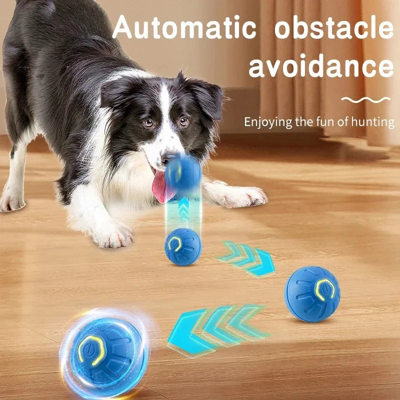 Buddypet Smart Dog Toy Ball Electronic