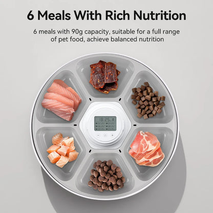 6 Meals Smart Cat Feeder