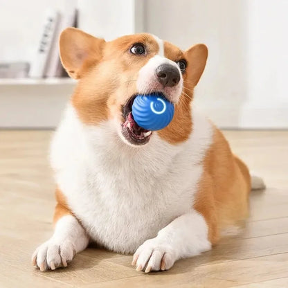 Buddypet Smart Dog Toy Ball Electronic