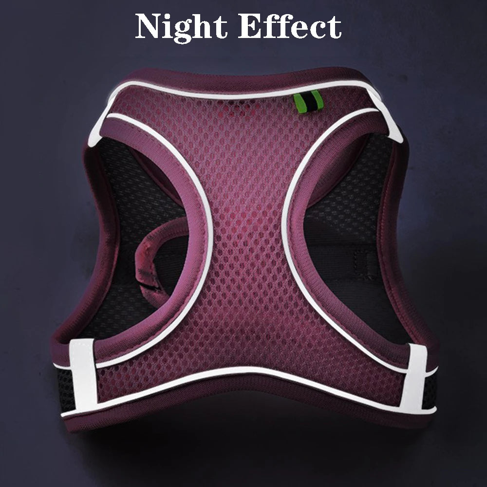 Buddypet Cat Dog Harness Vest Chest Rope Set