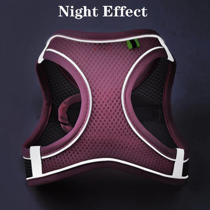 Buddypet Cat Dog Harness Vest Chest Rope Set