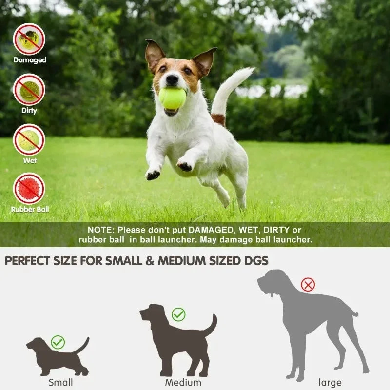 Buddypet Dog Launcher Automatic Dogs Chase Toy