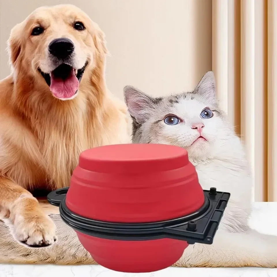 Foldable Dual Feeding Bowl