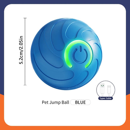 Buddypet Smart Dog Toy Ball Electronic