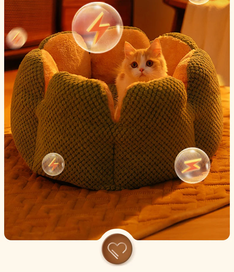 BuddyPet House Winter Warm and Comfortable Cat Bed New Cartoon Cactus
