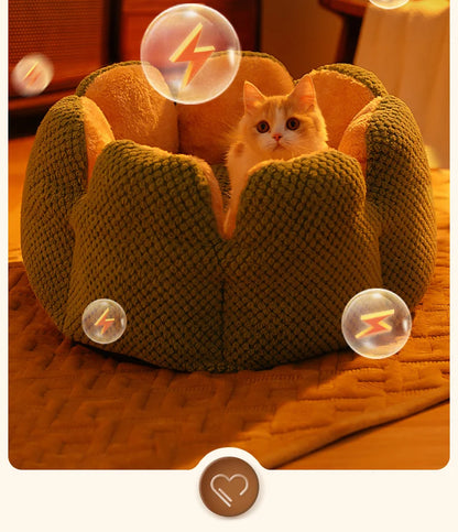 BuddyPet House Winter Warm and Comfortable Cat Bed New Cartoon Cactus