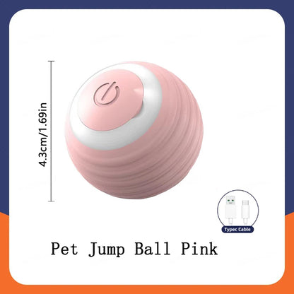 Buddypet Smart Dog Toy Ball Electronic