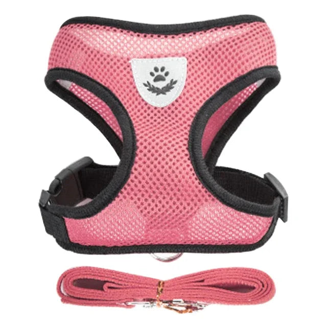 Cat's Leash / Body Harness