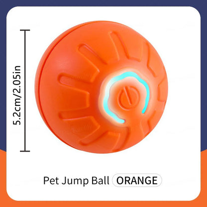 Buddypet Smart Dog Toy Ball Electronic